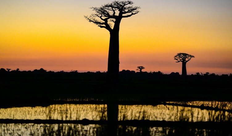 Consigli pratici per viaggiare in Madagascar (anche con bambini piccoli)
