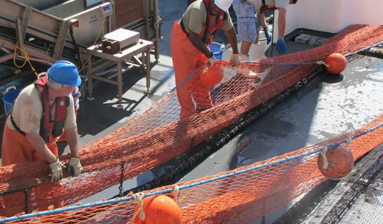 Reti anticaduta: come scegliere quella giusta senza farsi fregare